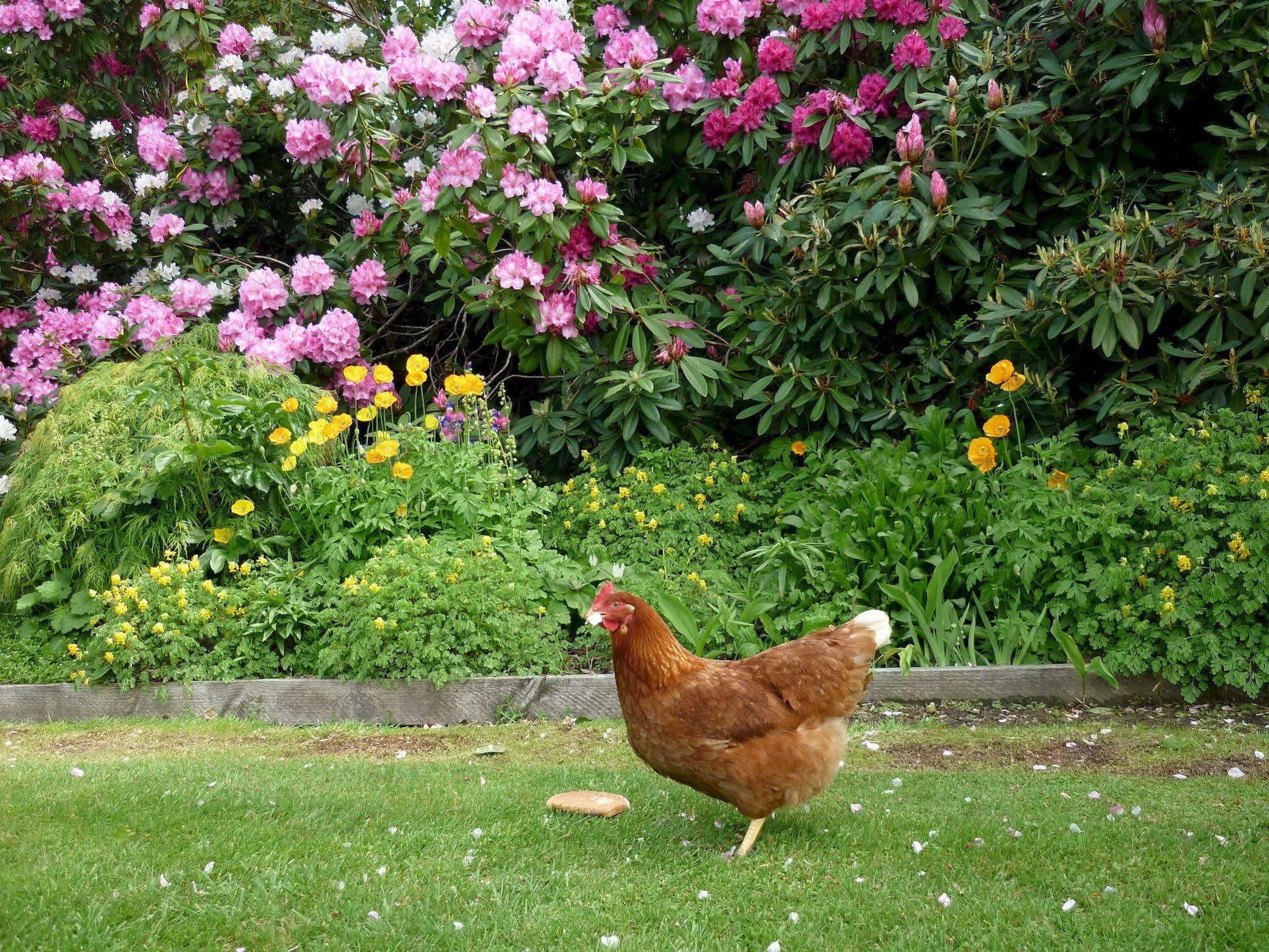 The Manor Bed and Breakfast Invercargill Esterno foto